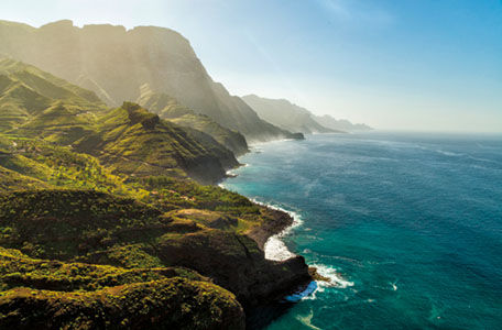 Cran Canaria
