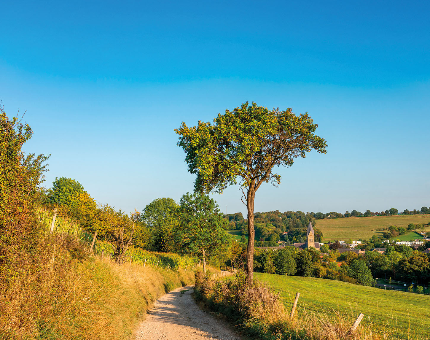 wandelroute Gulpenerberg