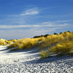 Soester duinen