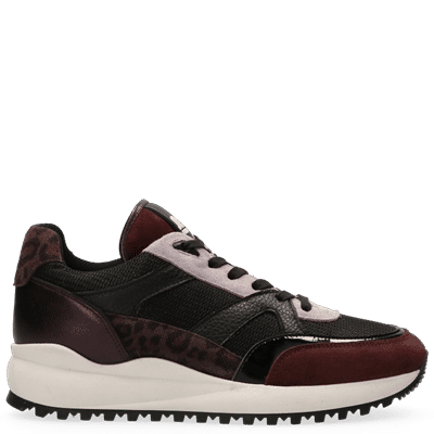 Boyd Sneakers Purple