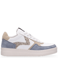 White-Blue