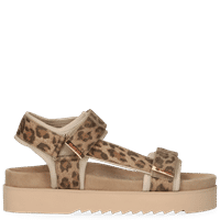 Leopard Brown