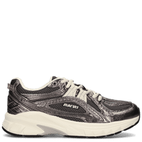 Metallic Anthracite
