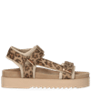 Leopard Brown