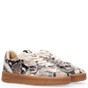 Yale Sneakers Snake