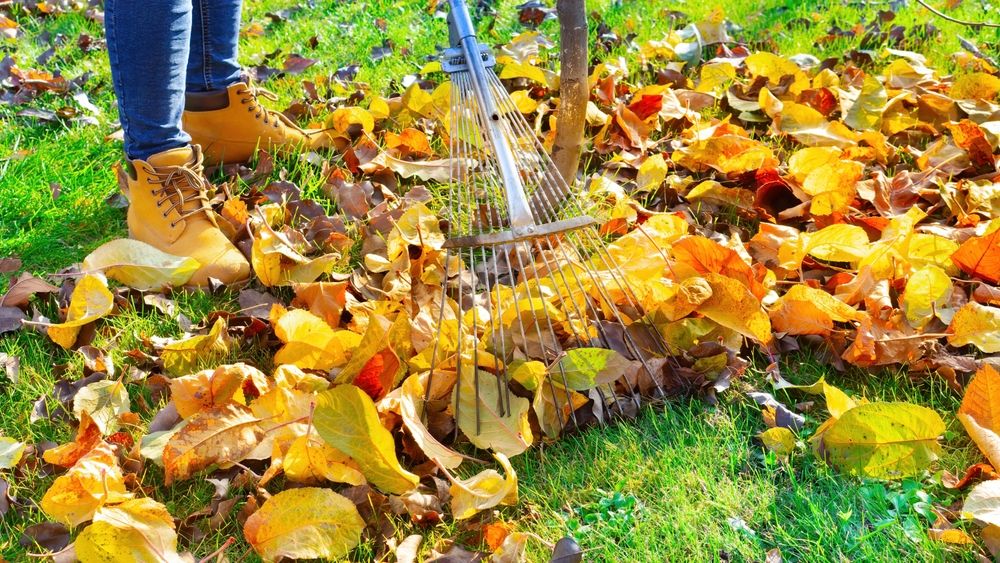 Deze Tips Helpen Je Tuin Herfst En Winterklaar Te Maken.