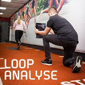 Loopanalyse
