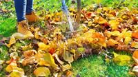 Deze tips helpen je tuin herfst en winterklaar te maken.