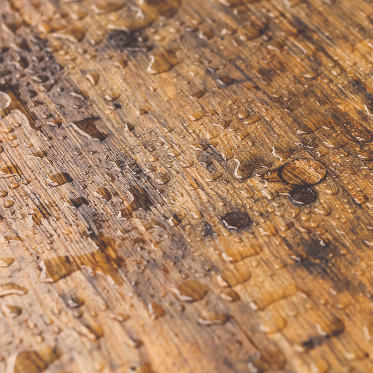 Hout en vocht: zo voorkom je problemen bij binnen- en buitengebruik